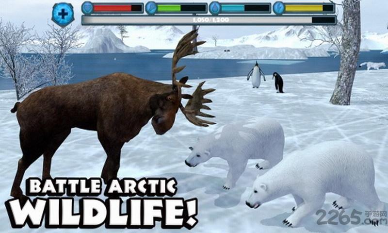 北极熊模拟器中文版(polarbearsim)下载,北极熊模拟器,休闲游戏,模拟游戏